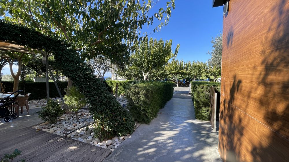 indulge-in-a-romantic-dinner-at-nature-cafe-restaurant