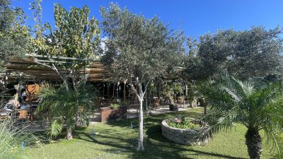 Host Special Events at Nature Cafe Restaurant in P