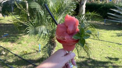 Taste the Best Seafood Specialties near Coral Bay 