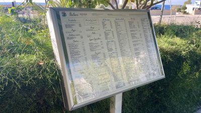 Quench Your Thirst with Craft Beer at Nature Cafe 