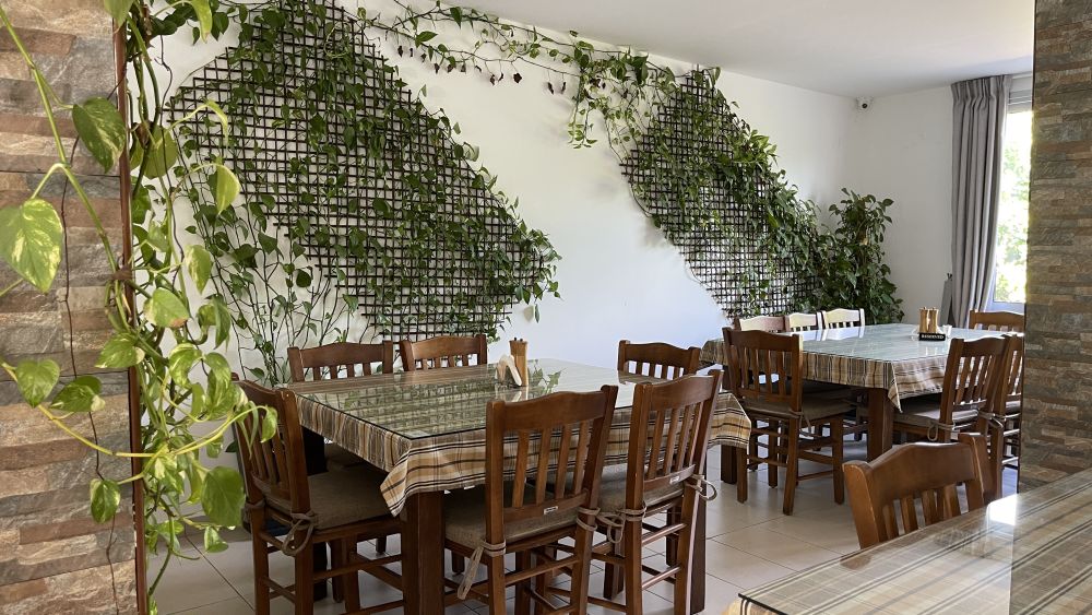 outdoor-seating-peyia-nature-cafe-restaurant